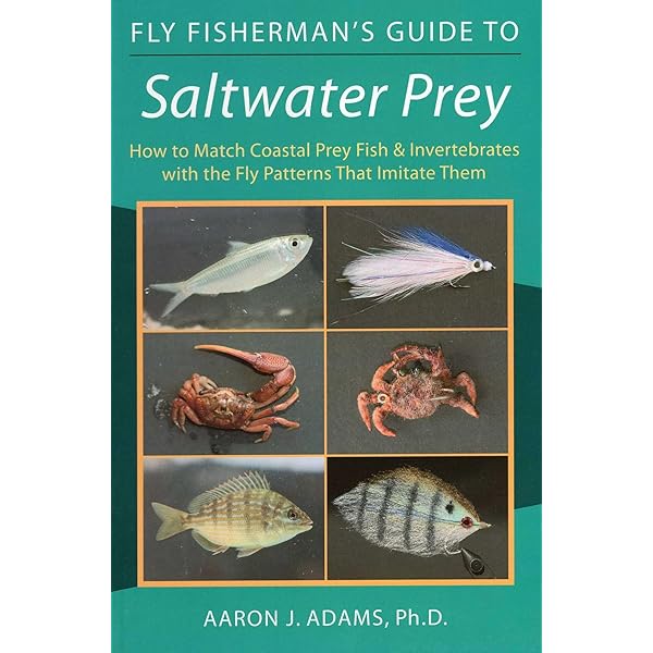Indian Ocean: Tropical Fish Guide: Helmut Debelius