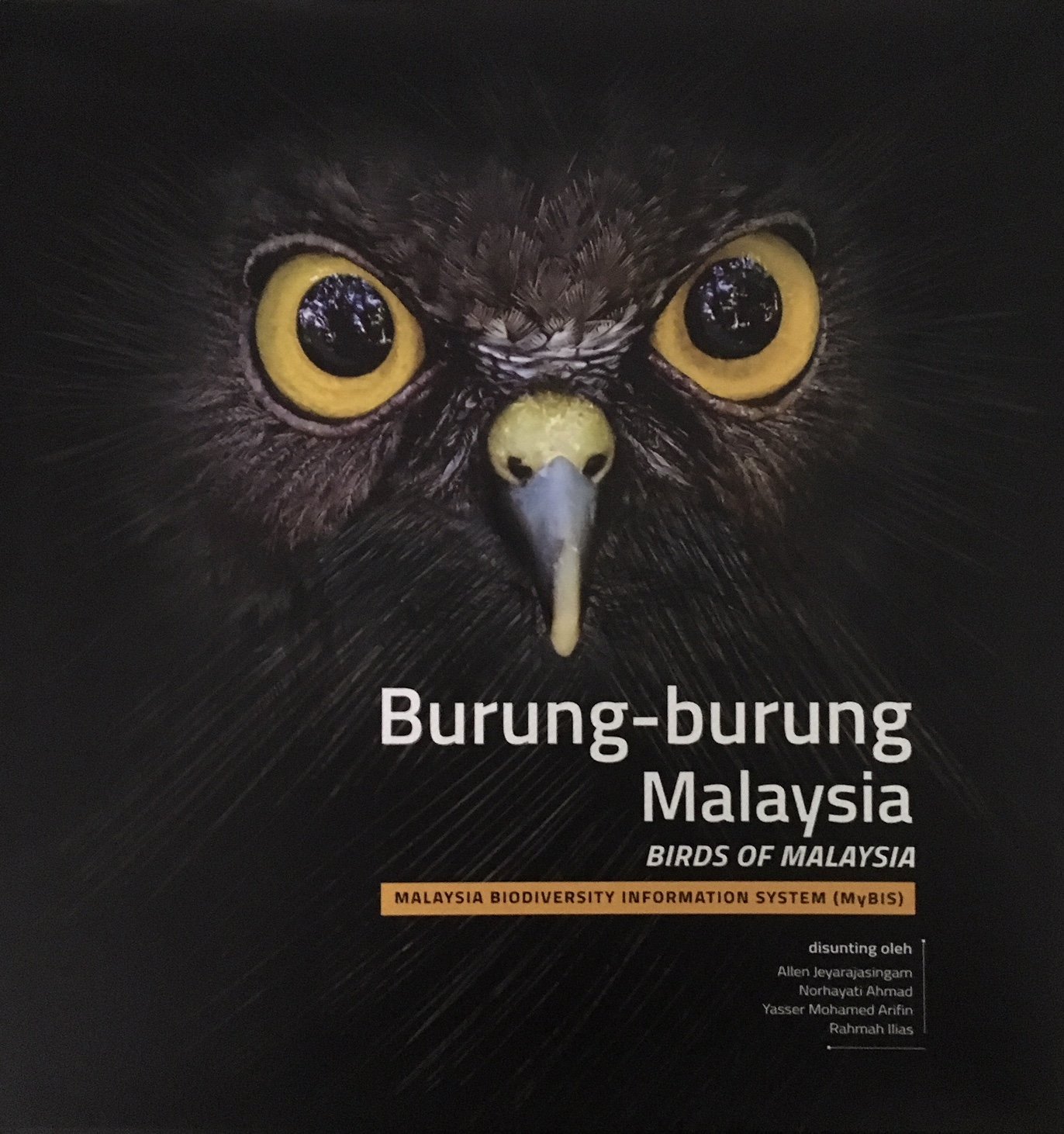Birds Of Malaysia Burung Burung Malaysia Malaysia Biodiversity