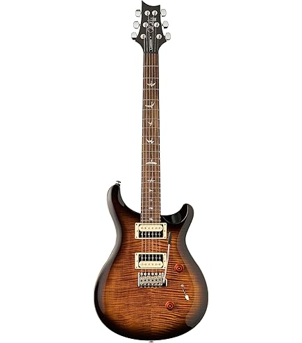 Amazon.com: PRS Paul Reed Smith 6 String SE Custom 24-08