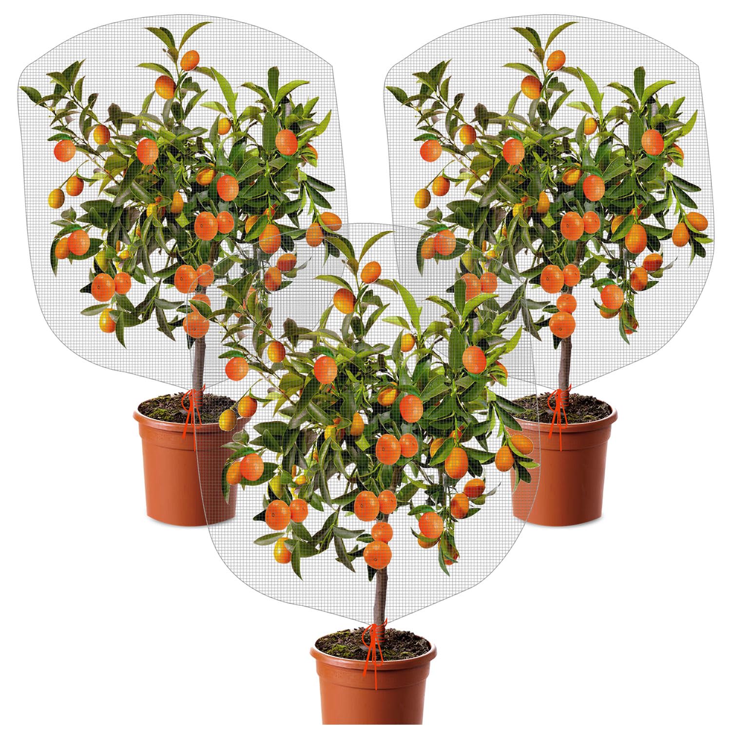 3 Pcs Plant Barrier Net Mesh, Plant Barrier Net Mesh, Bird Netting, Barrier Bags for Vegetables Fruits, Covering Plants Bags, Tomato Plant Netting for Protect Plants from Birds, Insects (2.4 x 3.5 FT)