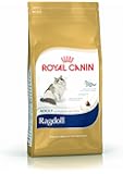 Royal Canin Cat Food Ragdoll 10kg