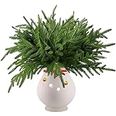 DERJLY 12 Pcs Christmas Norfolk Pine Branches: 18 Inch Artificial Faux Realistic Real Touch Greenery Cedar for Vase DIY Craft Garland Wreath Indoor Home Decorations