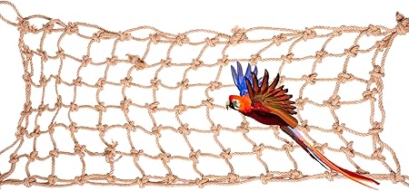 hanging parrot play gym