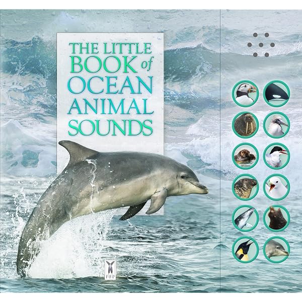 Dolphin in the Deep (Animal Ark Series #22): Baglio, Ben M