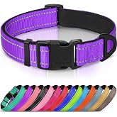 Joytale Reflective Dog Collar, Adjustable Neoprene Padded, Purple XS | Breathable Nylon for Puppies and Small Breeds, No Chafing on Walks and Indoor Training, Light Metal D-Ring, Night Safety