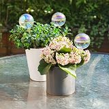 [Tomorotec] 3Pcs Light Iridescent Rainbow Glass Self-Watering Spikes Auto Plant view 5