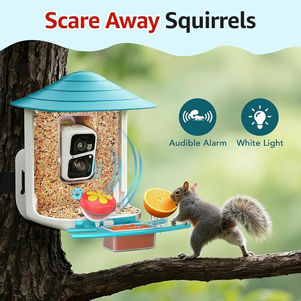 BIRDSNAP® TUC BIRD FEEDER WITH CAMERA 2K HD, SOLAR PANEL 32GB CARD 4-IN-1 PERCH, 160°VIEW AUTO DETECT & NOTIFY AI IDENTIFY VIDEO BIRD CAMERA WIRELESS OUTDOORS IDEAL GIFT FOR BIRDS LOVER