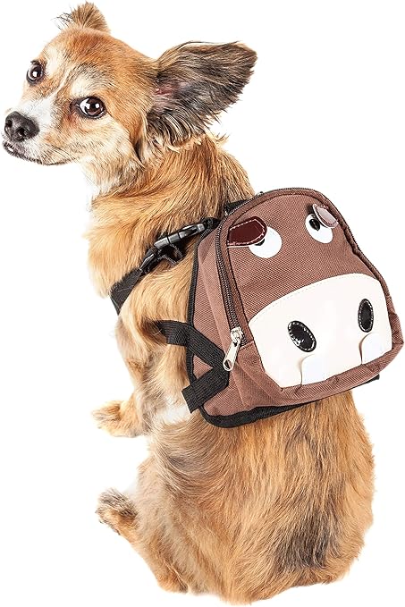 science diet veterinary