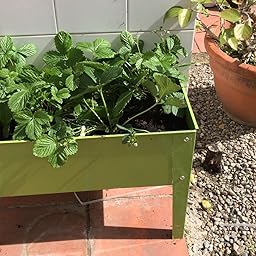 Gardiun KIS12976 - Huerto Urbano Nature Grove I Metal 60x30x45 cm ...