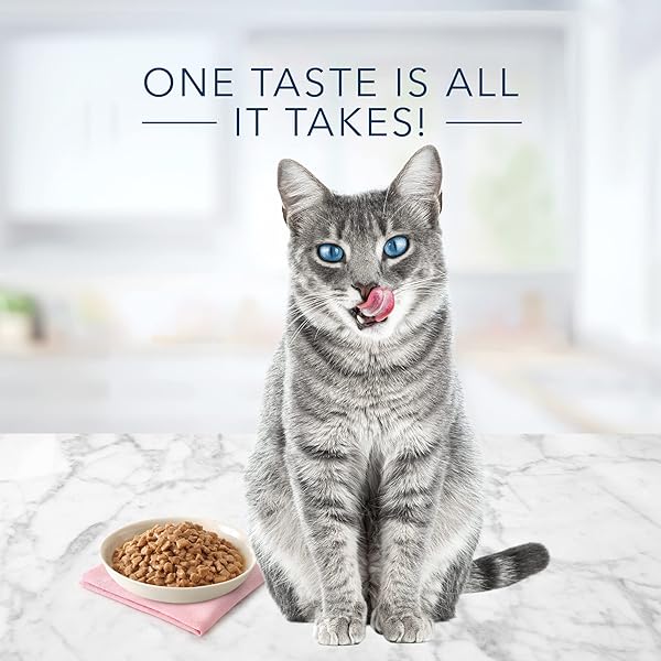 BLUE BUFFALO TASTEFULS NATURAL TENDER MORSELS WET CAT FOOD, CHICKEN ENTRÉE 5.5-OZ CANS (PACK OF 24)