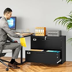 SISESOL 2 Drawer Lateral File Cabinet with