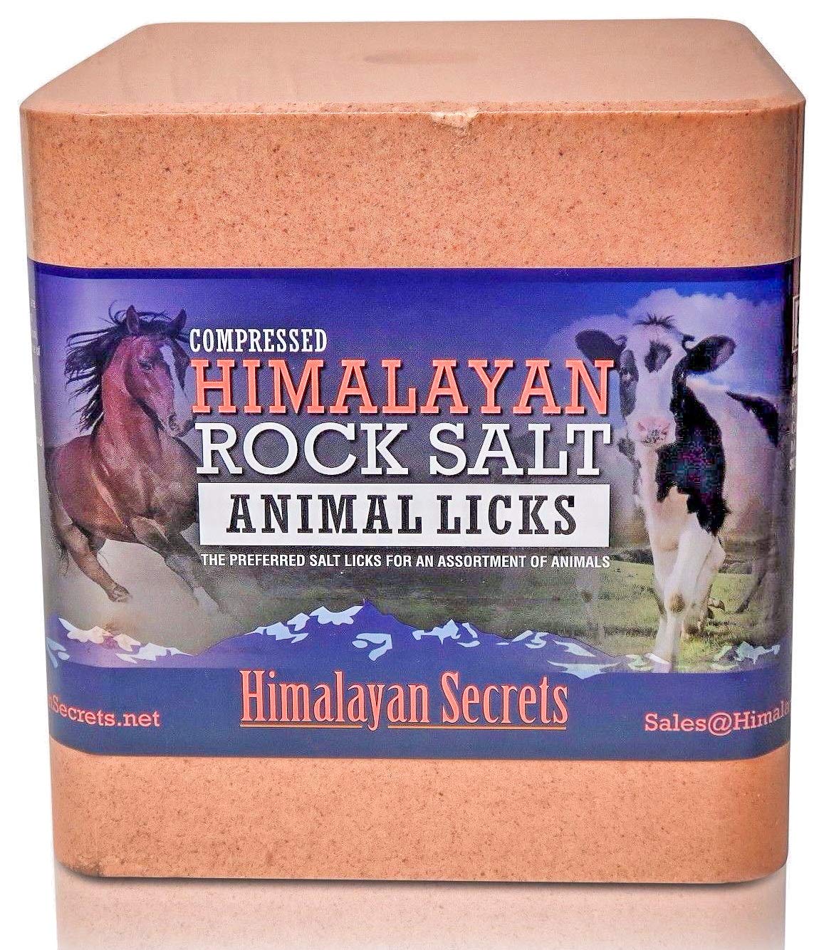 22LB (10KG) Large Himalayan Secrets Compressed Pink Himalayan Salt