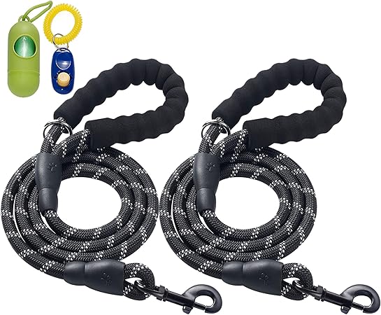 leash amazon