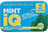 Big Sky MINT iQ Icy Peppermint Mint Candy 40 grams
