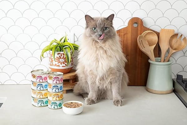 WERUVA SENIOR CAT FOOD, CHICKEN IN A HYDRATING PURÉE, 5.5OZ CAN, PACK OF 8
