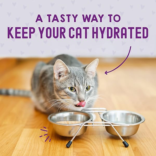 STELLA & CHEWY’S CARNIVORE CRAVINGS WET CAT FOOD – PREMIUM POUCHES – GRAIN FREE, HIGH PROTEIN CHICKEN & CHICKEN LIVER – PERFECT FOR PICKEY EATERS – COMPLETE MEAL OR TOPPER (2.8 OZ, 12 PACK)