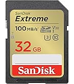 Amazon.com: SANDISK 32 GB Class 4 SD Flash Memory Card SDSDB-032G