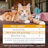 Beaphar WORMclear Spot-On for Cats 2 Pipettes Kills Tapeworms Vet Strength view 7