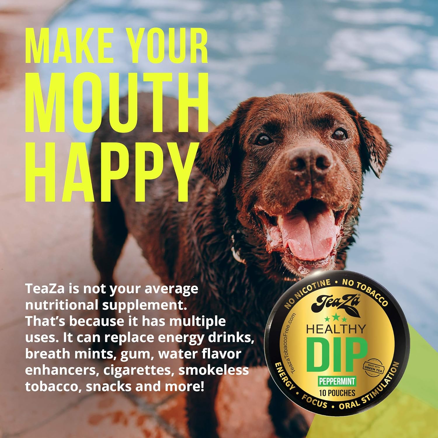 TeaZA Peppermint Herbal Energy Pouches | Nicotine Free, Tobacco Free Pouches | Made with Green Tea Caffeine Dip Pouches [12 Pack]: Health & Personal Care