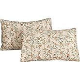 ECOCOTT 2 Pack Pillowcase Queen Size, Botanical Floral Pillow Cases Set - 100% Cotton Pillow Covers with Envelope Closure (Queen, 20"x30")