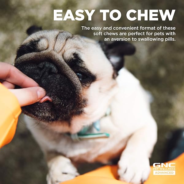 GNC PETS ADVANCED DIGESTION DOG SUPPLEMENTS, SOFT CHEW DIGESTIVE SUPPORT WITH FLAXSEED & PROBIOTICS FOR GUT HEALTH, CHICKEN FLAVOR VITAMINS & ENZYMES SUPPLEMENT FOR ALL DOGS, 90 COUNT