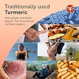 Nutravita Organic Turmeric 1440mg with Black Pepper & Ginger 180 Capsules view 3