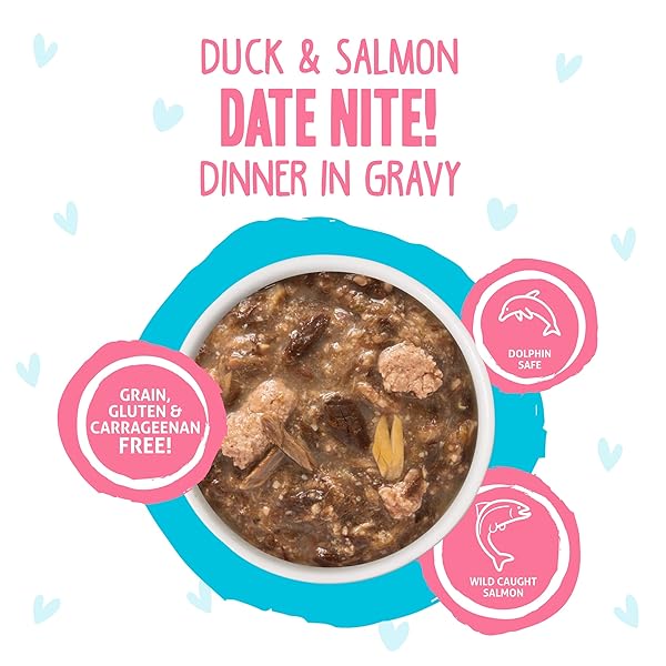 WERUVA B.F.F. OMG – BEST FELINE FRIEND OH MY GRAVY!, DATE NITE! WITH DUCK & SALMON IN GRAVY CAT FOOD, 2.8OZ POUCH (PACK OF 12)