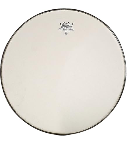 Amazon.com: Remo M7S100F5 Drumhead Pack (M7-S100-F5) : Musical