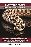 Hognose Snakes: Hognose Snakes General