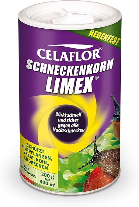 Substral Celaflor Schneckenkorn Limex Anwendungsfertiges Kodergranulat Zur Schneckenbekampfung Im Garten Und Gewachshaus Streudose 300g Fur 500 M Amazon De Garten