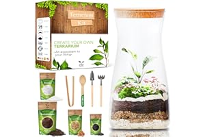 PYEF CRAFTS DIY Terrarium Kit for Plants - Glass Terrarium Jar - Modern Indoor Plant Terrarium - No Plant (Kit with Jar)