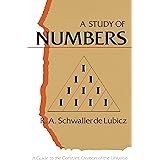 A Study of Numbers: A Guide to the Constant Creation of the Universe