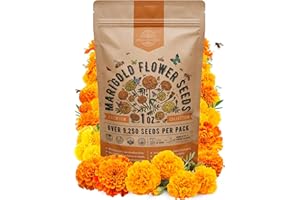 ORGANO REPUBLIC Marigold Seeds Pack 1 oz - Over 9,250 Non-GMO Heirloom Marigold Seeds for Planting Indoor & Outdoor Gardening, Flower Seed for Planting Home and Garden, Flowers Seed in Individual Packet
