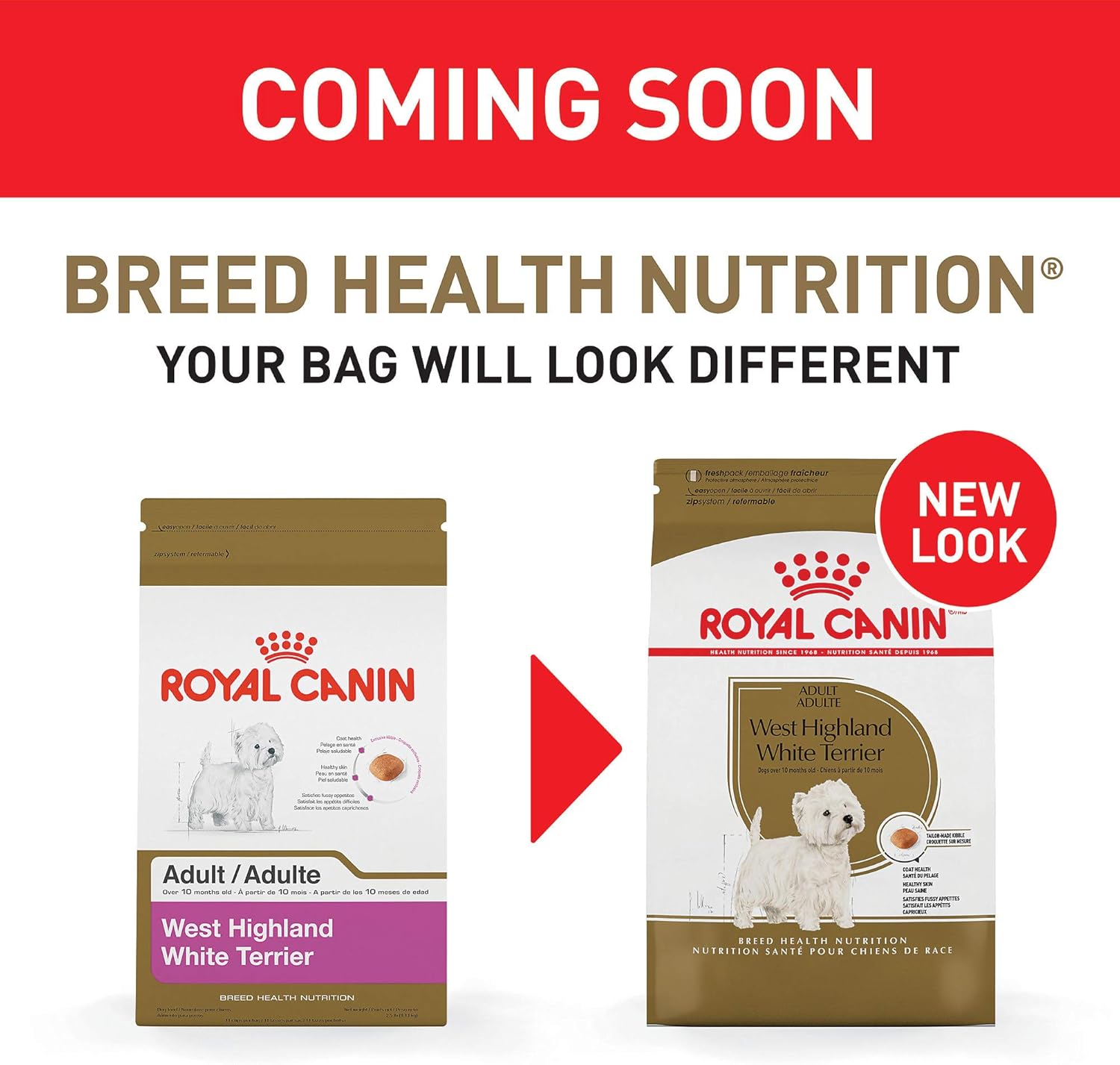 royal canin west highland terrier