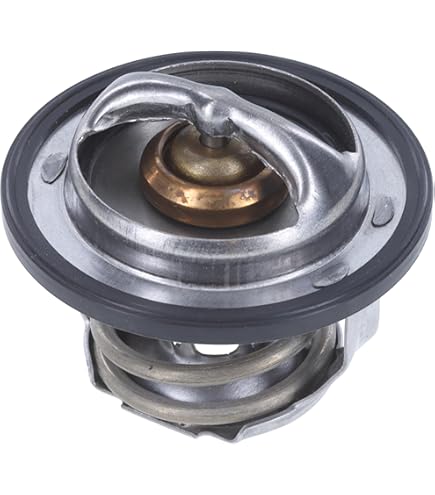 Amazon.com: Caltric Thermostat & O-Ring Compatible with Kawasaki