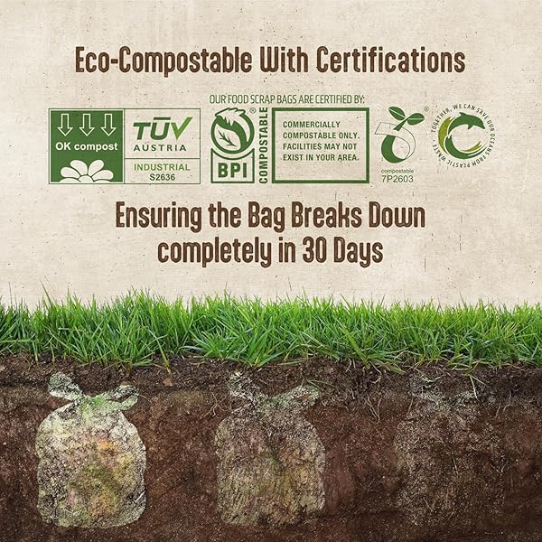 13 GALLON COMPOST BAGS WITH HANDLES – 30 COUNT BIODEGRADABLE TRASH BAGS, COMPOSTABLE TRASH BAGS, 13 GALLON TRASH BAGS, CERTIFIED BY BPI AND OK COMPOST, FOOD SCRAP GARBAGE BAGS, TALL KITCHEN