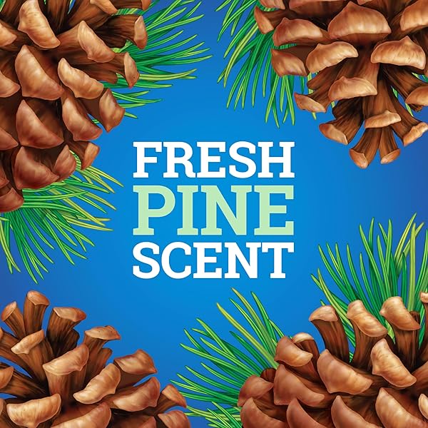 PINE-SOL MULTI-SURFACE CLEANER, CLOROXPRO, 2X CONCENTRATED FORMULA, ORIGINAL PINE, 80 FL OZ