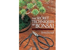 The Secret Techniques of Bonsai: A Guide to Starting, Raising, and Shaping Bonsai
