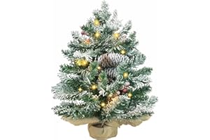 CHICHIC 20 Inch Prelit Artificial Mini Christmas Tree Snow Flocked Small Tabletop Christmas Tree Decorated with LED Lights, Pine Cones, Berry Clusters, Frosted Branches for Home Holiday Decorations