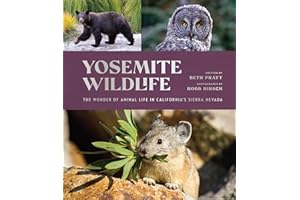 Yosemite Wildlife: The Wonder of Animal Life in California's Sierra Nevada