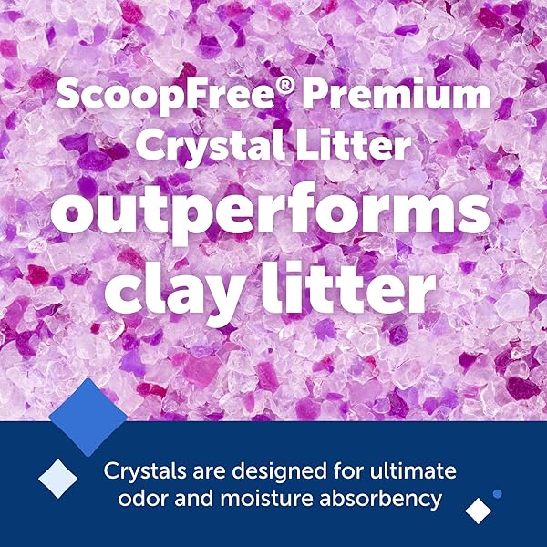 PETSAFE SCOOPFREE ODOR CONTROL CRYSTAL CAT LITTER, LAVENDER, SCENT 4.3 LB BAG, PACK OF 2