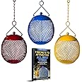 Backyard Expressions - Set of 3 Squirrel Proof Bird Feeders for Outside - Bonus Ebook and Bird Attraction Audio Included - Squirrel Resistant Bird Feeders