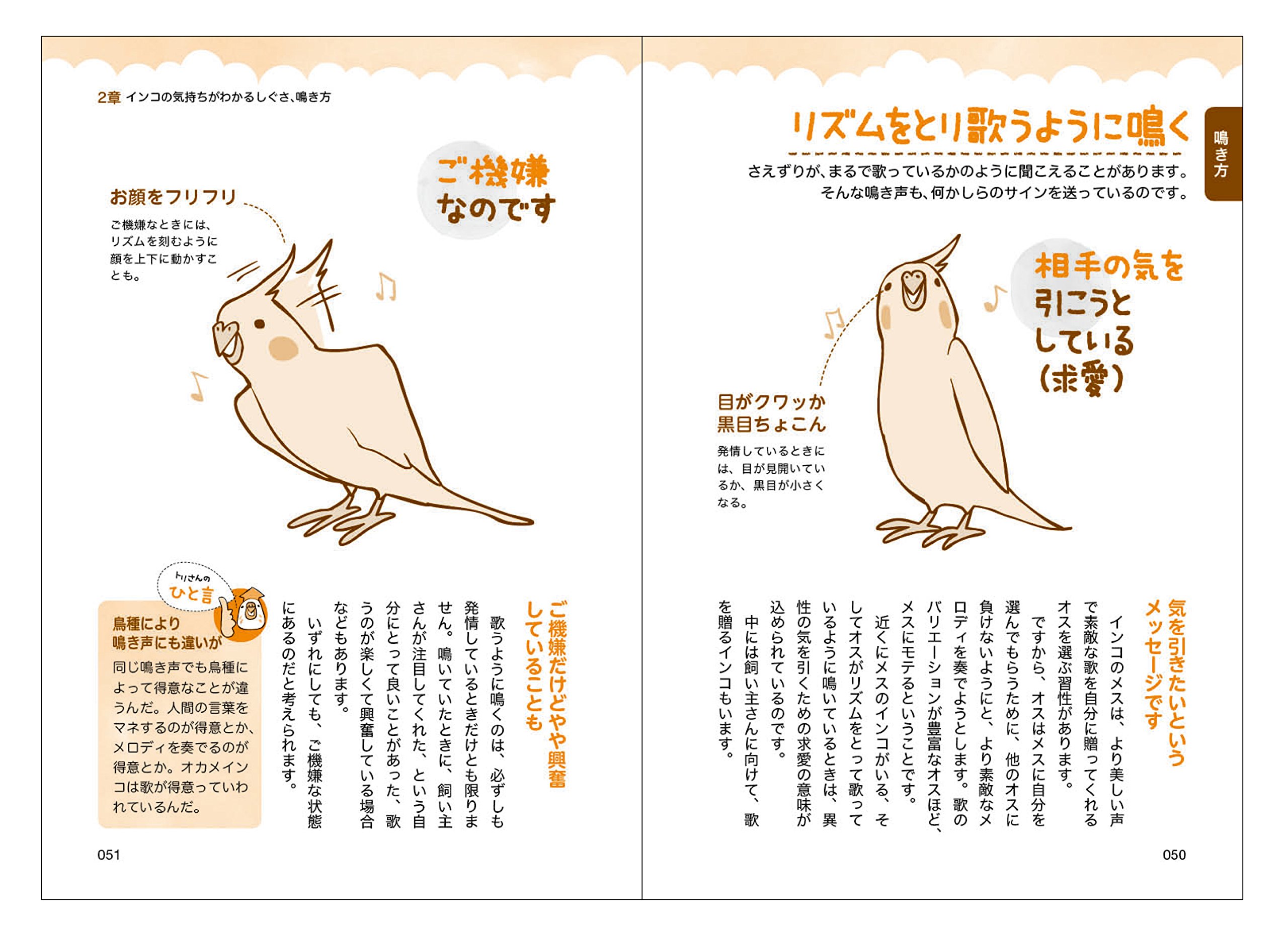 インコにモテモテ 言葉と気持ちまるわかりブック 石綿 美香 本 通販 Amazon インコにモテモテ 言葉と気持ちまるわかりブック 石綿 美香 本 通販 Amazon