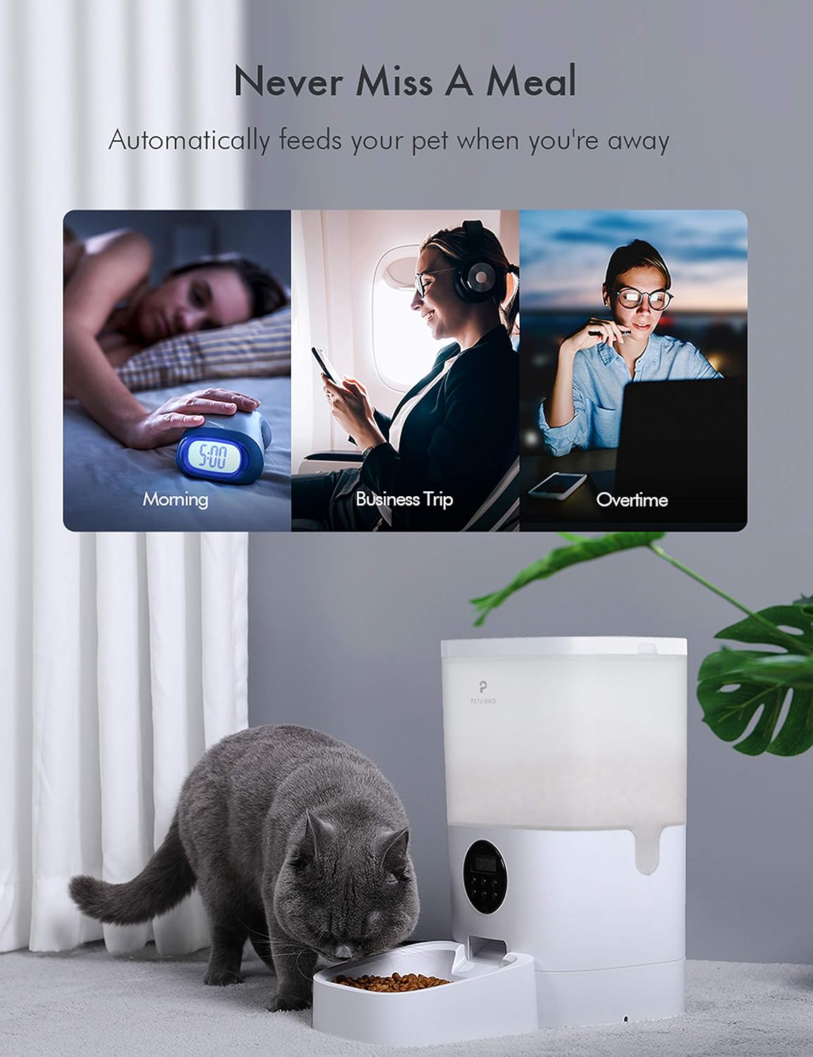 Pet Supplies : PETLIBRO Automatic Cat Feeder, Transnsparent Timed Cat Feeder with Desiccant Bag for Dry Food, Programmable Portion Control 1-4 Meals per Day & 10s Voice Recorder for Small/Medium Pets (6L) : 