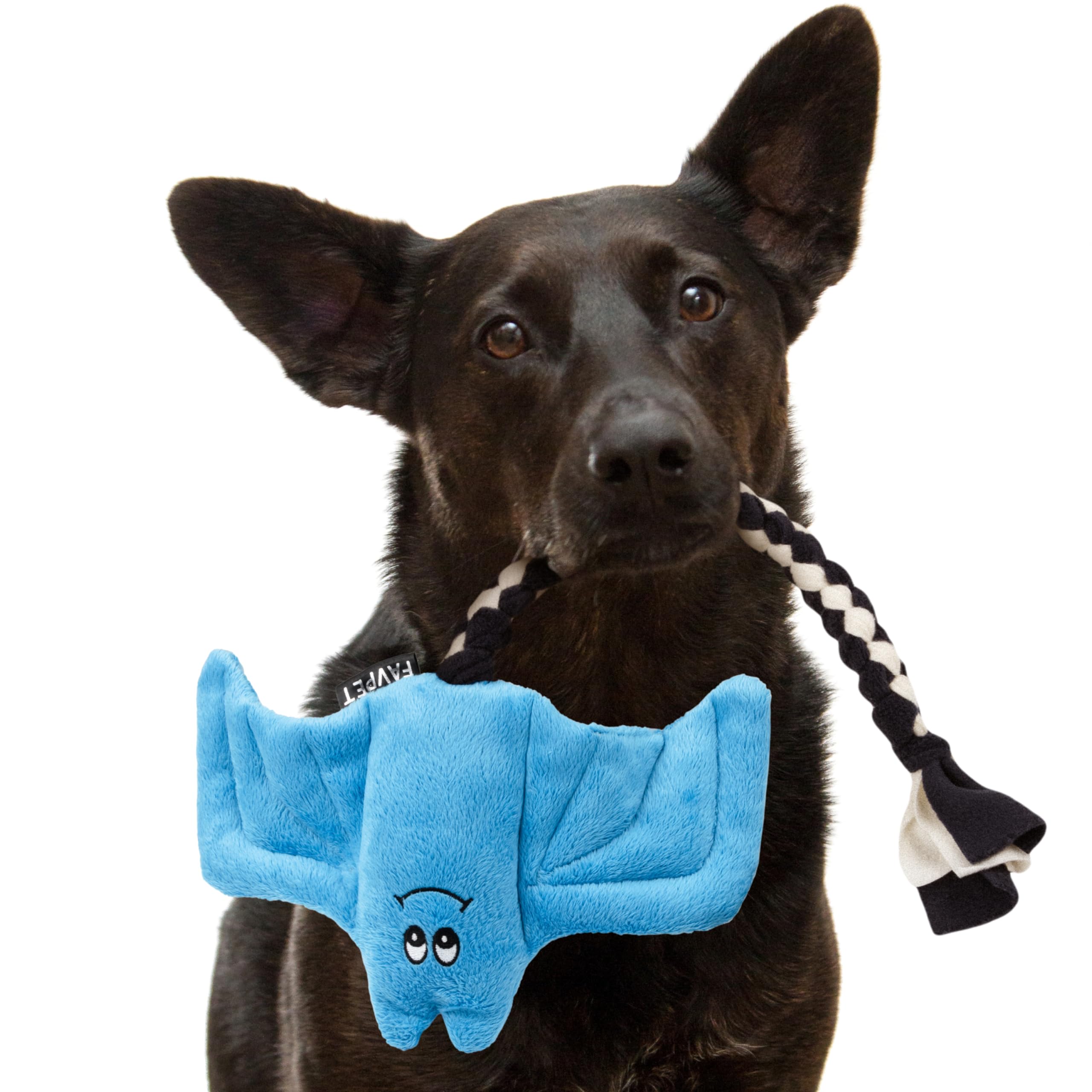 FAVPET Plush Dog Toy Bat, Sturdy Dog Toy Squeaky Big Dogs, Squeaky Dog Toy Small Dogs Plush Toy, Funny Dog Toy Puppy Plush (Blue)