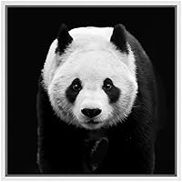 SIGNWIN Framed Canvas Wall Art Panda Animals Wildlife Photography Realism Modern Portrait Dramatic Black and White for Living Room, Bedroom, Office - 16