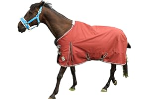 T TEKE Deluxe Turnout Horse Sheets, 1200D Waterproof and Breathable Horse Care Sheets with no Filling (51"-87" Including Miniature/foal Size)