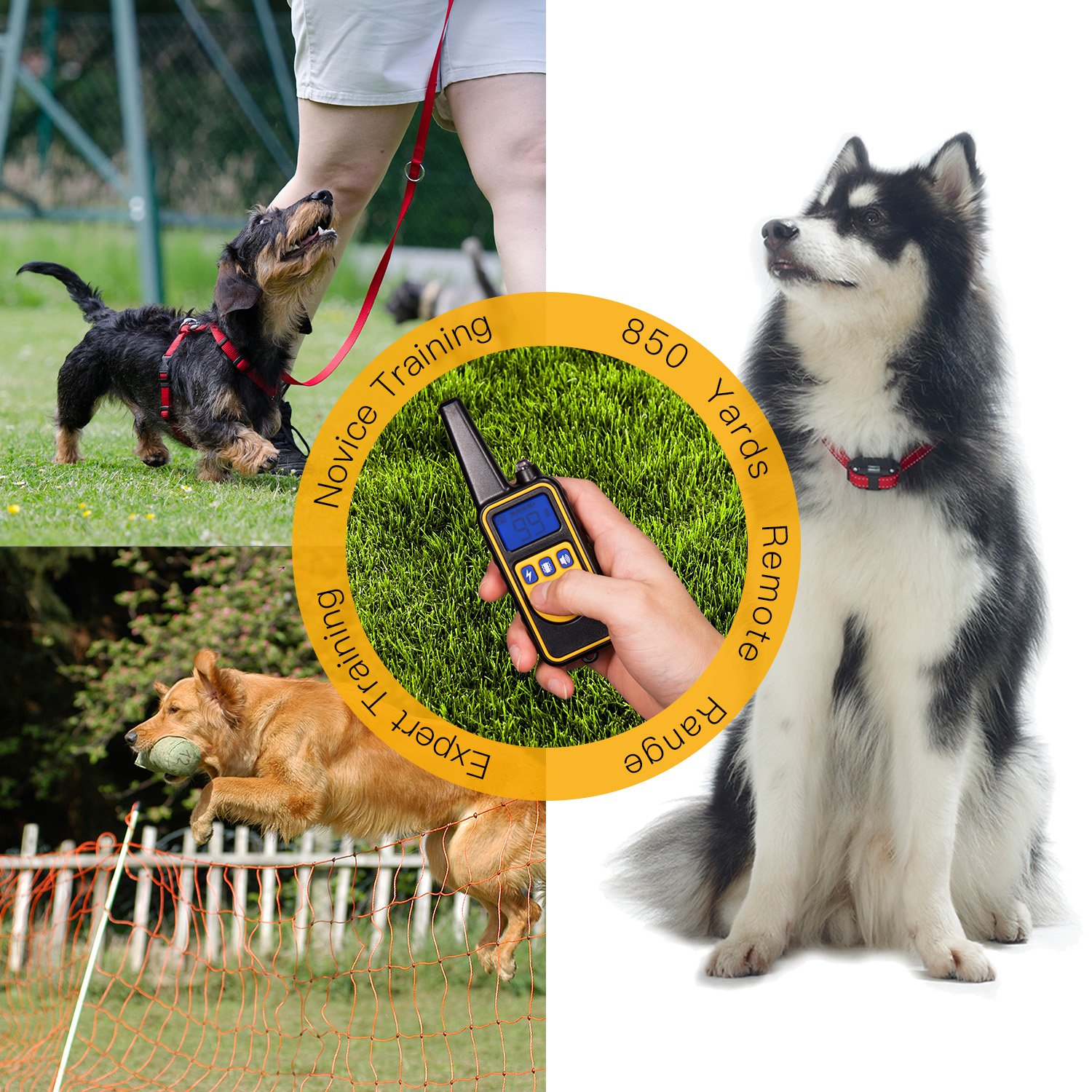 ziyor dog training collar