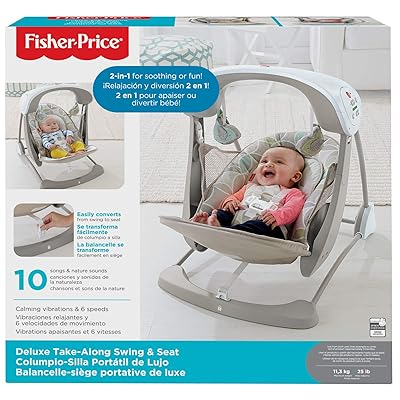 Buy Fisher Price Deluxe Take Along Swing Seat Online In Vietnam B00nfetglc