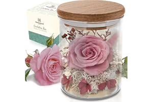 HAVENSTOCK Pink Rose in a Glass Dome - Premium Real Roses that Last a Year or More - Mother's Day Unique Gifts For Her Preserved Roses - Forever Flower Decor Preserved Flowers - Eternal Rose Display